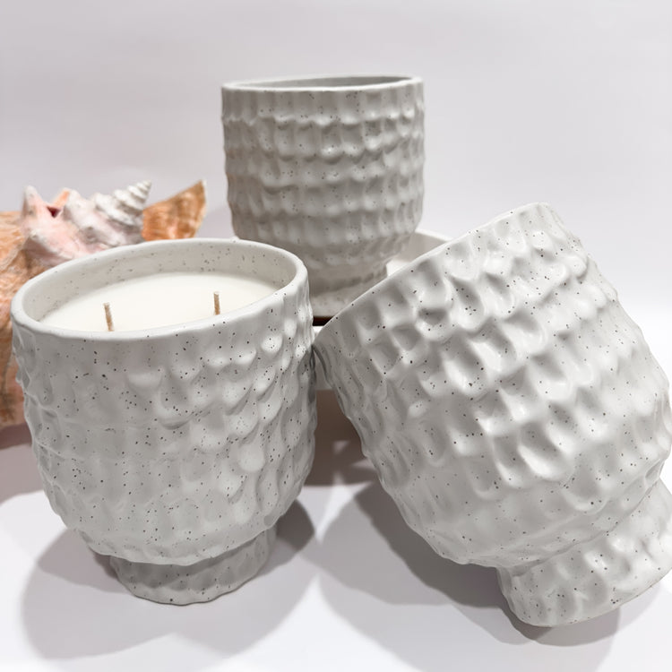 FRASIER FIR - Siberian Pine + Cedar + Musk