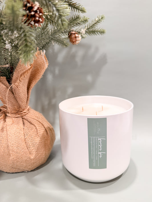 FRASER FIR - Siberian Pine + Cedar + Musk